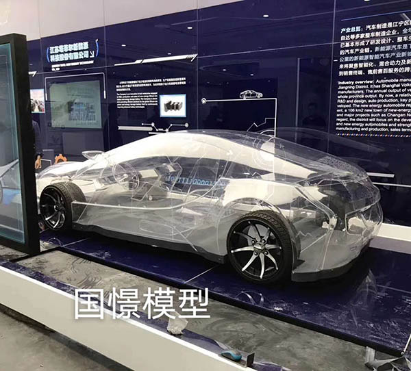 聂荣县透明车模型